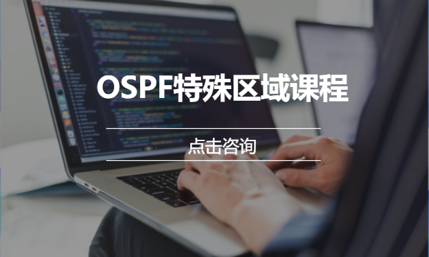 OSPF特殊区域课程